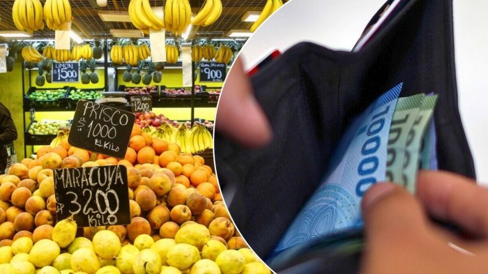 Inicia pago del Bolsillo Familiar Electrónico: Revisa acá con tu RUT si recibirás el dinero