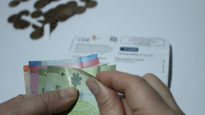 Bolsillo Familiar Electrónico para pagar cuentas de luz: ¿Cuándo empieza y cómo acceder?