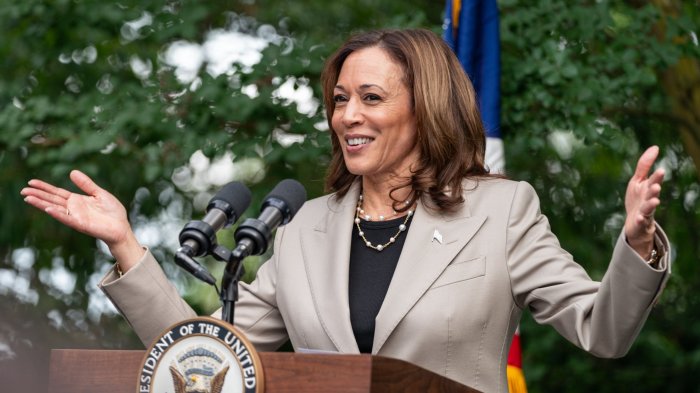 Quién es Kamala Harris: La candidata demócrata que reemplazó a Joe Biden y recaudó cifra récord
