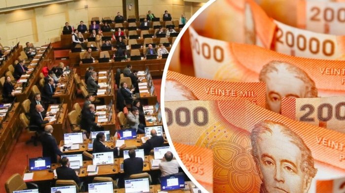 Discusión por Séptimo Retiro AFP: Este es el proyecto que toma mayor fuerza en el Congreso