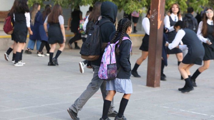 Bono Logro Escolar: Consulta con el RUT si tu hijo recibe el beneficio para estudiantes de hasta $204.471