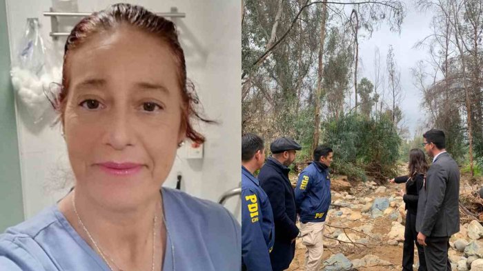 Encuentran cuerpo sin vida en Villa Alemana: Investigan si podría corresponder a TENS desaparecida
