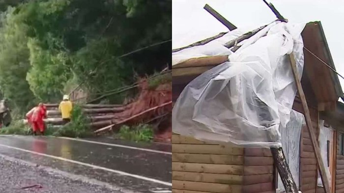 Consecuencias devastadoras: Los estragos que causó el arrasador temporal en la zona centro sur