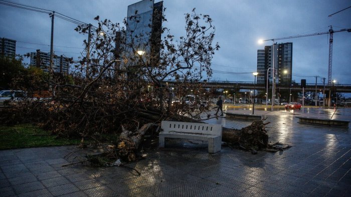 ¿Se repetirán las fuertes ráfagas? Así se viene el viento para este viernes por sistema frontal