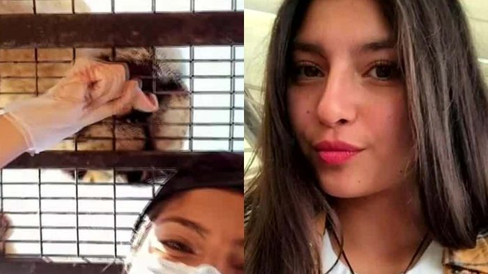 A 3 años de muerte de trabajadora: Hoy comienza juicio contra responsables de Parque Safari de Rancagua