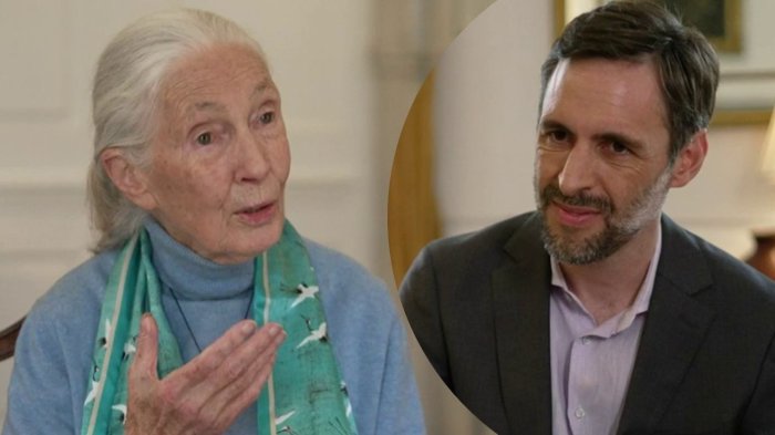 Jane Goodall en entrevista exclusiva con CHV Noticias: “Mi misión es dar esperanza para tomar medidas”