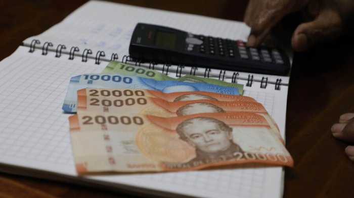 Bolsillo Familiar Electrónico 2024: Cuándo es el último pago y quiénes lo reciben