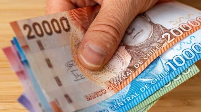 Revisa si te corresponde: Gobierno entrega hasta $204.471 a familias con escolares en septiembre