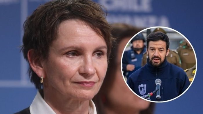 ¿Vodanovic presidencial? Ministra Tohá aseguró que alcalde “podría sin duda ser candidato”