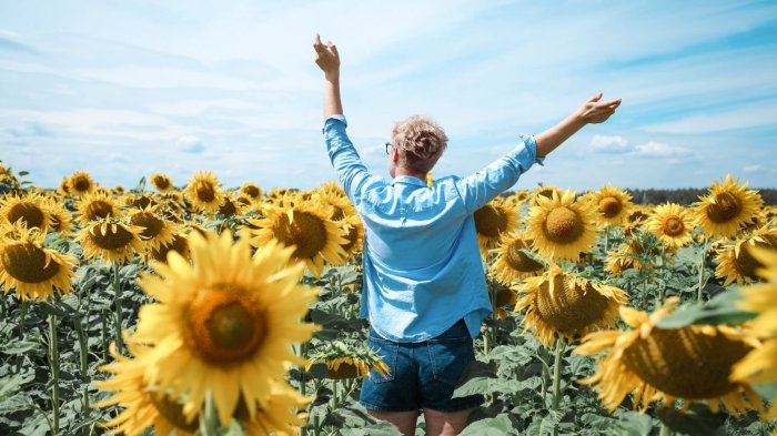 El dinero no hace la felicidad: 5 pasos claves para alcanzarla según expertos