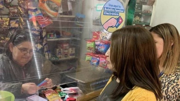 Paga la Luz con tu Bolsillo Familiar Electrónico: Revisa aquí cómo hacerlo