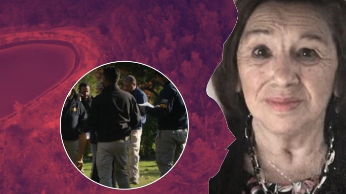 Amplio operativo en fundo donde desapareció María Elcira en Limache: Esto es lo que se sabe