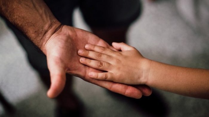 ¿En qué consiste el proyecto inhabilidad de candidaturas para deudores de pensiones alimenticias?