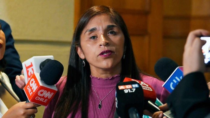 Senadora Campillai por visita de Camila Flores a ex carabinero que la dejó ciega: “No tiene empatía ni decencia”