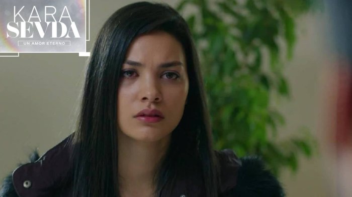 Kara Sevda - Chilevisión