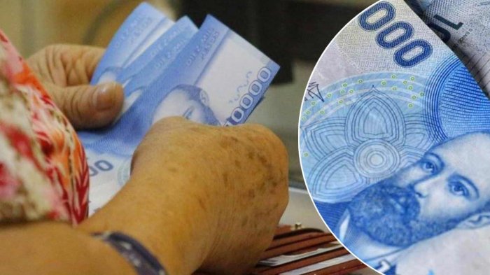 Gobierno paga esta semana bono anual de $646.973 o mensual de $42.377 a mujeres: Revisa con tu RUT si lo recibes