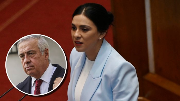 Karol Cariola sacó la voz y agradeció apoyo tras las especulaciones de Jaime Mañalich sobre su embarazo