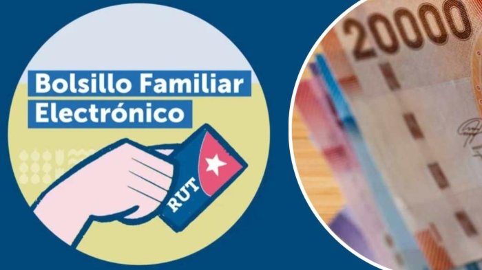 Última transferencia del Bolsillo Familiar Electrónico: Revisa con tu RUT si recibes el pago de septiembre