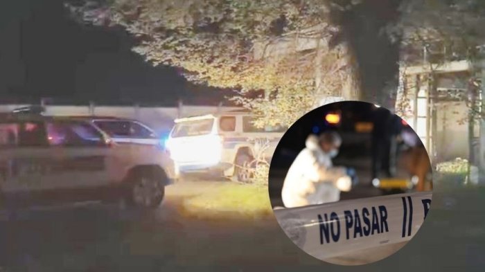 Cómo se descubrió el cuerpo de adolescente asesinada en Angol: Su pololo es el único detenido