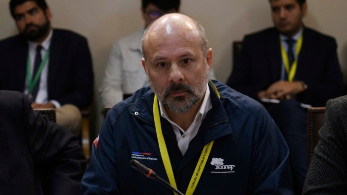 En medio de críticas por megaincendio: Renunció director nacional de Conaf