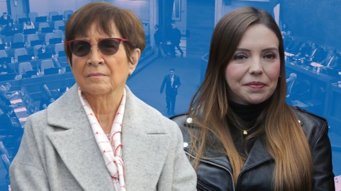 “Se te soltó el tornillo”: El tenso round de Carmen Hertz y Camila Flores por el 11 de septiembre