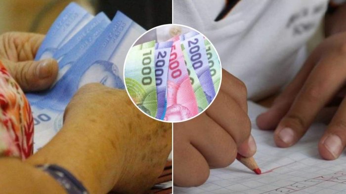 ¿No recibiste el Bono Logro Escolar? Así puedes apelar si crees cumplir con los requisitos