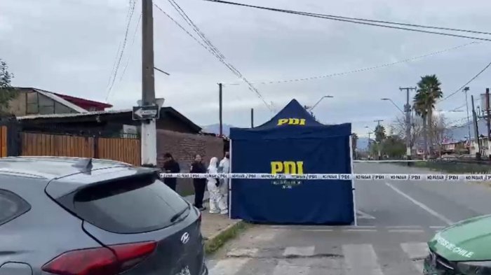 Con palos, piedras y fierros: Sujetos asesinaron a golpes a un hombre en Puente Alto