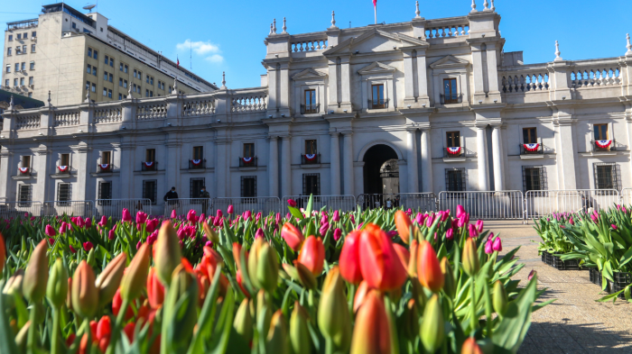Día del Tulipán: Dónde y cuándo puedes ir a recoger tus flores GRATIS