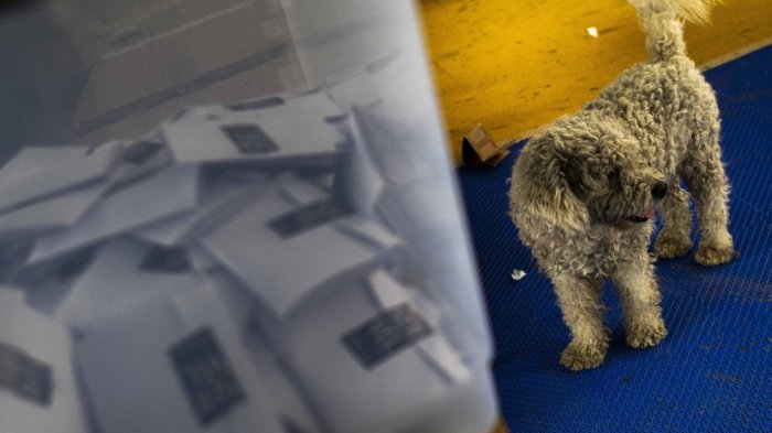 Elecciones 2024: ¿Estoy a tiempo de cambiar mi domicilio electoral para votar?