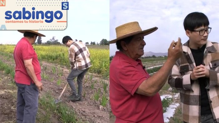 Yuhui trabajó como agricultor en sector rural de La Pintana | En tus zapatos | Sabingo