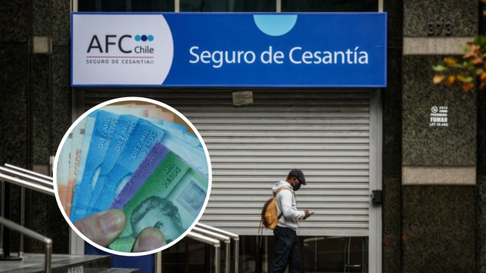 Bonos para cesantes 2024: Consulta aquí los beneficios a los que puedes postular