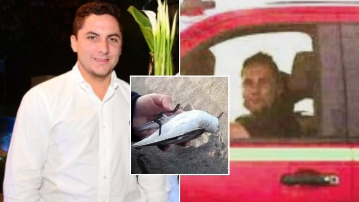 Quién es Cristóbal Verschae, el conductor detenido por maltrato animal que atropelló aves en Ritoque