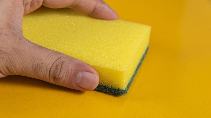 ¿Cómo eliminar las bacterias en la esponja de forma efectiva y con elementos caseros?