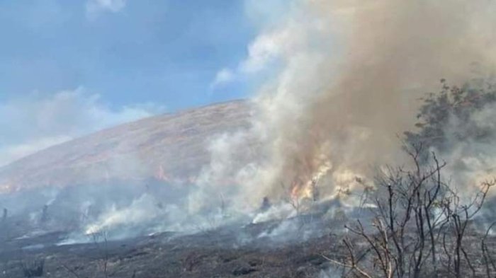 Alerta en Rapa Nui por incendio que ha consumido 25 hectáreas en Parque Nacional