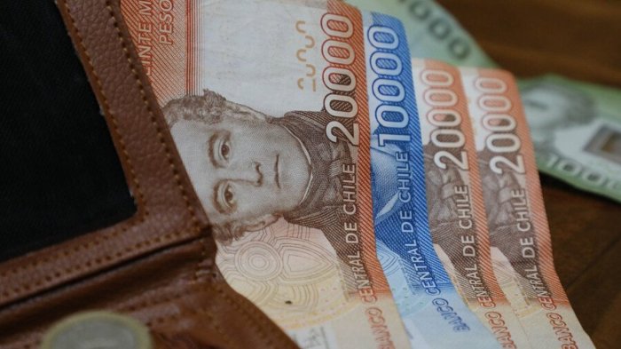 Bono Protección: Consulta con tu RUT si recibes las transferencias que alcanzan los $432.000