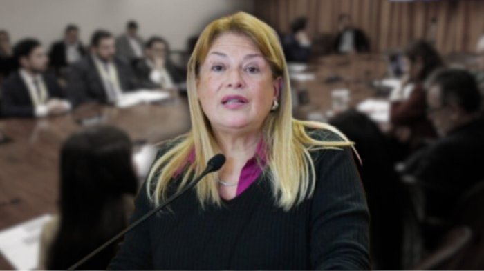 Minuto a minuto: Ángela Vivanco es removida de sus funciones en la Corte Suprema