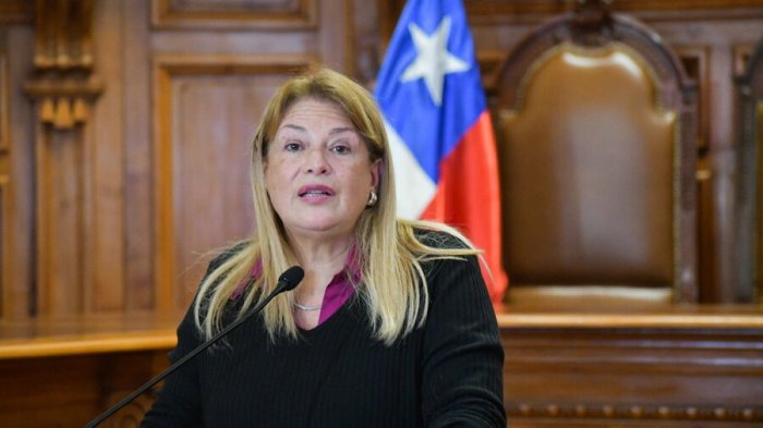 Corte Suprema expulsó a Ángela Vivanco tras polémica por chats con Luis Hermosilla