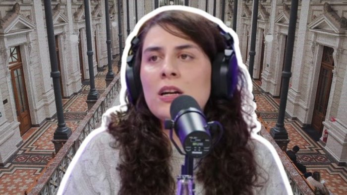 Tajante fallo contra Miau Astral: Le ordenaron abstenerse de enviar correos y “funar” a denunciante