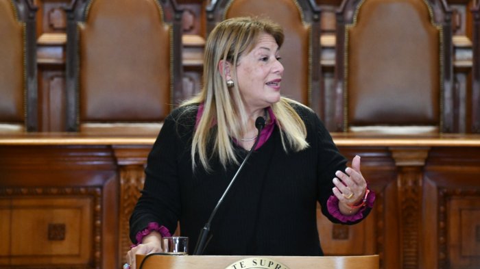 Cámara de Diputados aprueba segunda acusación constitucional contra Ángela Vivanco por abismal mayoría