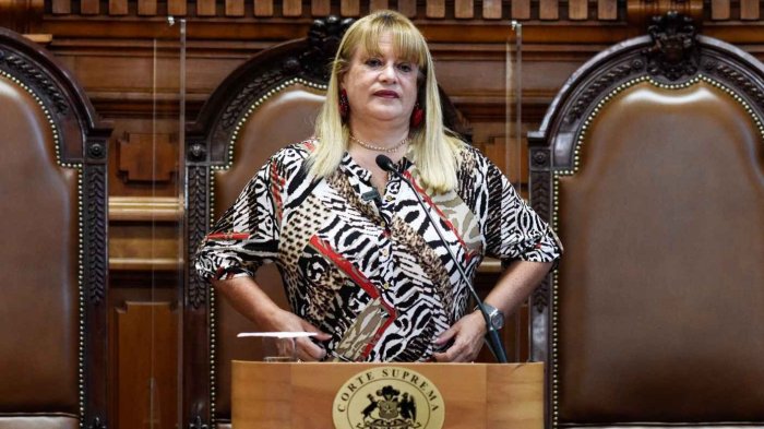 Senado aprueba de forma unánime acusación constitucional contra ex ministra Ángela Vivanco