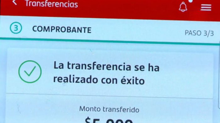 Número de transferencias en el ojo del SII: ¿Cuántas se podrán realizar sin levantar alerta?