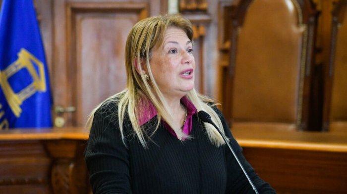 Por qué el Senado declaró “improcedente” la segunda AC contra de Ángela Vivanco