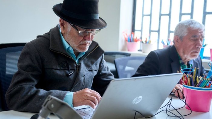 Ciberseguridad en adultos mayores: 29% ha sufrido fraudes digitales en 2024 según estudio