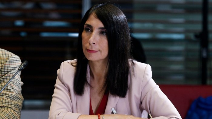 Karla Rubilar presentó denuncia por suplantación de identidad en falsos panfletos de campaña