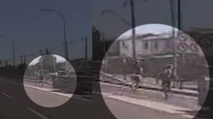 Video captó violenta encerrona a madre e hijas en plena autopista en PAC: PDI abatió a delincuente