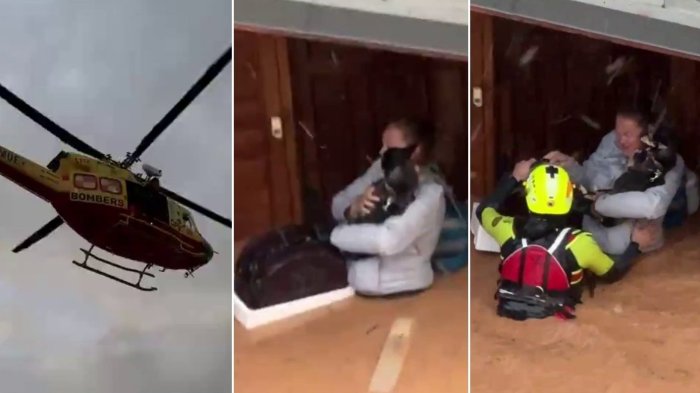 No soltó a sus mascotas: Viralizan dramático rescate de mujer en Valencia con su perro y su gato