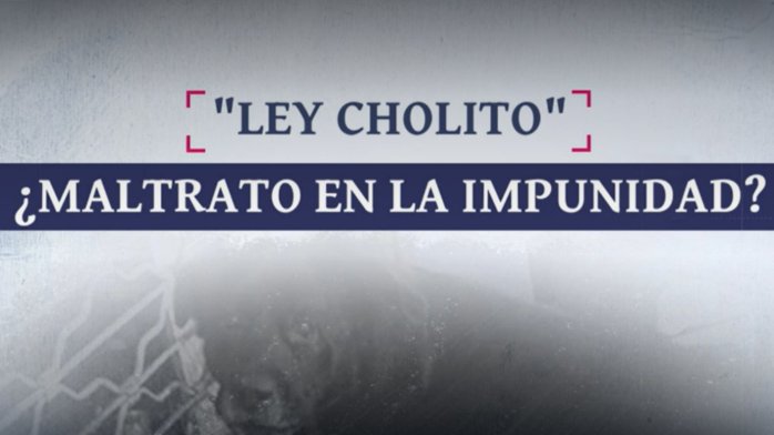 Pese a “Ley Cholito” persiste el maltrato animal y en algunos casos la impunidad: ¿Cuáles son los fallas del sistema?