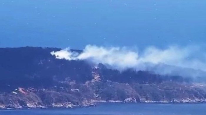 Senapred declara Alerta Roja para comuna de Valparaíso por incendio forestal