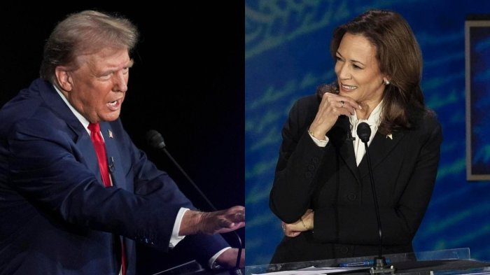 Con voto indirecto: Cómo funciona el sistema de elecciones en Estados Unidos