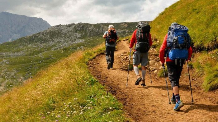 Alerta en Tierra del Fuego: Buscan a 3 turistas desaparecidos tras denuncia de guardaparques